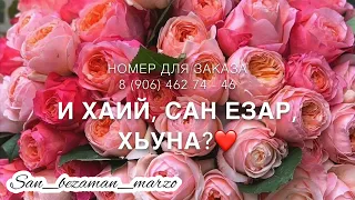 Песня - Вай цхьана йоьттина г1ала