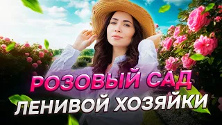 21 САМЫЙ КРАСИВЫЙ кустарник для ленивого сада