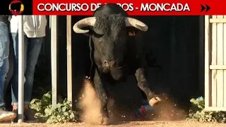 CONCURSO ESPECIAL DE TOROS DE CORRO EN MONCADA 02/03/2019
