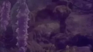 Psykovsky & Luuli - Stone Sea ∞ૐ Visualization Music Video ૐ∞ Kosmogénesis