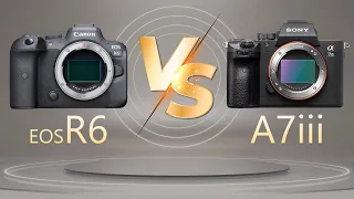 Camera Comparison : Canon EOS R6 vs Sony A7 III