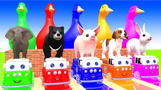 5 Giant Duck, Monkey, Piglet, chicken, Zebra, Lion, Sheep, Transfiguration funny animal 2023