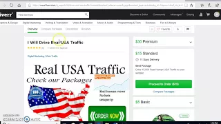 Fiverr Traffic?? My results!