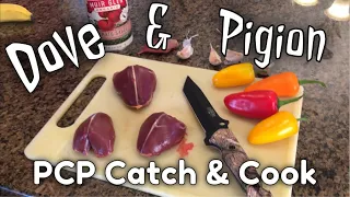 Pigeon & Dove Catch Clean Cook Pasta Recipe 22 PCP Air Rifle Hades Pellets Kral Puncher OneLeaf Cam