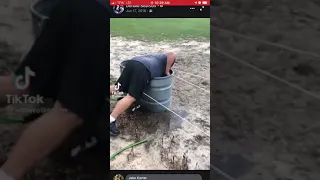 Drunk guy falls on electric fence