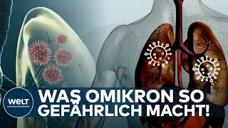 CORONA: Omikron-Welle! Was die Covid19-Variante so gefährlich macht I WELT News