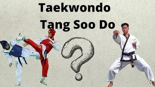 The difference between Taekwondo and Tang Soo Do