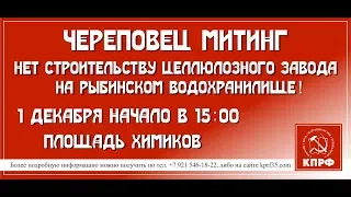 СТОП ЦБК! МИТИНГ ЧЕРЕПОВЕЦ (01 декабря 2019г)