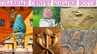 Главный секрет шишки богов