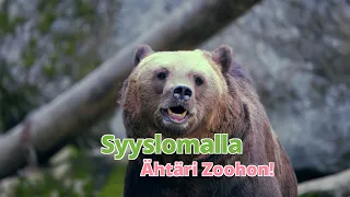 Syyslomalla Ähtäri Zoohon