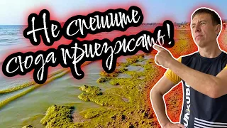 Топ-5 пляжей с самой ГРЯЗНОЙ водой на всем юге России. (Папа Может)