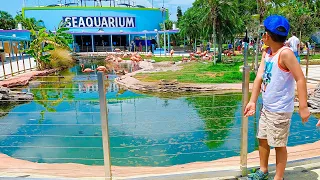 First Time @The Miami Seaquarium: Miami, Florida