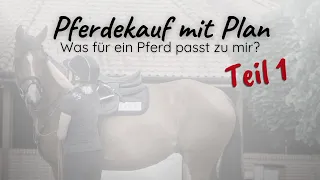 Welches Pferd passt zu mir? Welche Eckdaten sind wichtig?🐴  #1 Pferdekauf mit Plan