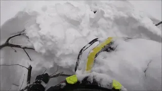 BRP Summit 850 | Поймал дерево под снегом