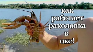 КАК РАБОТАЕТ РАКОЛОВКА В ОКЕ!