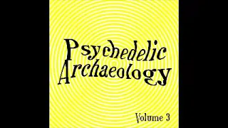 Various – U Spaces  Psychedelic Archaeology Vol 3 :60's USA Garage Rock Fuzz Psych Music Compilation