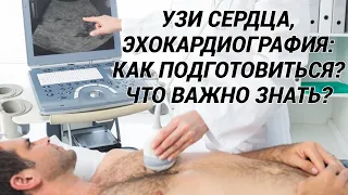 УЗИ сердца, эхокардиография, ЭХО-КГ: показания, как подготовиться, как проводится и что важно знать!