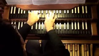 Johann Sebastian Bach, Toccata et Fuga in D minor BWV 538, played by Luca Scandali (live recording)