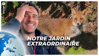 Votre jardin et les animaux sauvages !! - Notre Jardin Extraordinaire #3