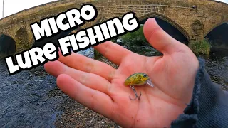 MICRO Lure river fishing