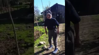 Подростки в Грузии обстреляли бабушку ради шутки
