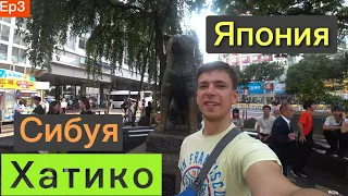 Хатико, Японский шопинг в Токио, Sibuya, Harajuku, Храм Meijijingu | Япония Ep3