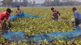 Small-scale fishing method in panning with net nets।।cat fishing।।carp fishing।fishing bait