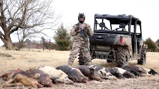 Texas hog hunting with the Pulsar XQ50