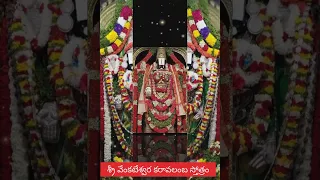 Sri Venkateswara karavalamba stotram