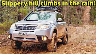 Subaru Forester XT S-Edition offroad on firebreak and pine plantation tracks and trails.