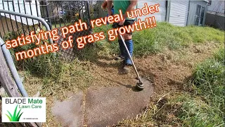 Unexpected surprise for this client! Tall grass cutting Australia