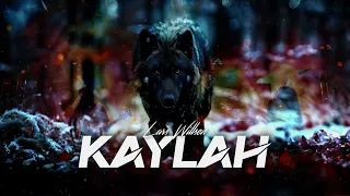 Lars Willsen - Kaylah (Official Music Video - Final version)