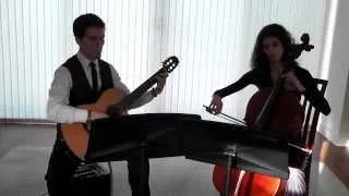 Silvermere Duo (Cello & Guitar) The Swan