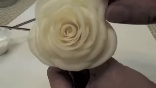 Quick Demonstration of How to Make Rose with YuYi Clay