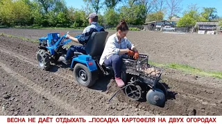 НЕ УСПЕЛ И ОТДОХНУТЬ ....ПОСАДКА КАРТОФЕЛЯ НА ДВУХ ОГОРОДАХ МОТОБЛОКОМ/ PLANTING POTATOES