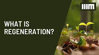 Important Questions: What is regeneration?