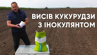 Висів кукурудзи з інокулянтом BINOC Кукурудза ENZIM Agro