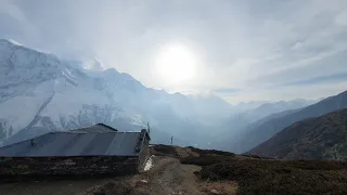 Late walk near the Annapurna Circuit. Manang to 4500m.