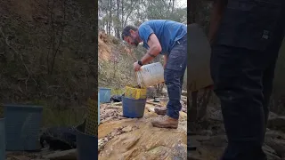 Gold Prospecting - Modified River Sluice