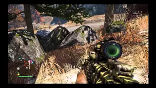 Баги с текстурами в Far cry 4