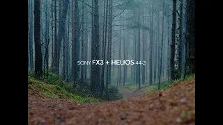 Walk in the woods / Sony FX3 + Helios 44-2