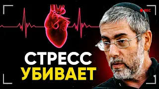 Стресс вызывает смерть. Как избавиться от тревожного состояния в сегодняшних реалиях?