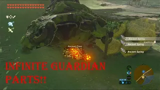 How To Farm INFINITE Guardian Parts in BOTW With Guardian Parts Glitch (Works In 2021)