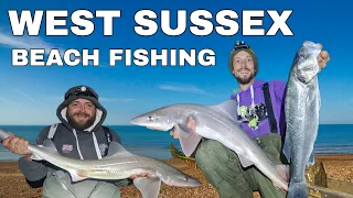 EPIC....BEACH FISHING IN WEST SUSSEX ,  smooth Hounds and bass #seafishing  @gavmanshorerigs2778