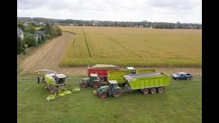 CLAAS JAGUAR 950 mit ORBIS 750 u. Fendt im Mais 2019 FullHD