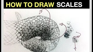 How to draw & shade realistic scales | Line drawing tips