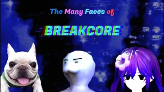 The Many Emotions of Breakcore