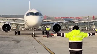 China's homegrown C919 completes latest leg of 100-hour test run