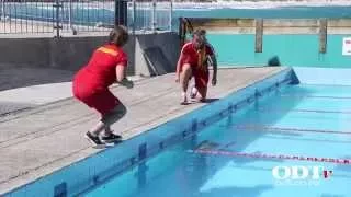 Sea lion takes a dip at Dunedin pool