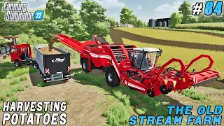Slurry drying, preparing field for sowing, harvesting potatoes | The Old Stream Farm | FS 22 |  #84